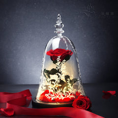 Rose Dome – Beauty & the Bloom