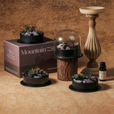 Silent Scent – Soft Glow Stone Diffuser