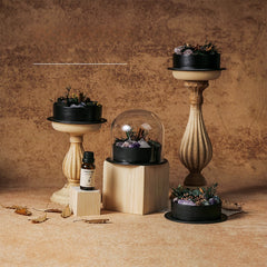 Silent Scent – Soft Glow Stone Diffuser