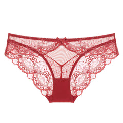 Lace Whisper – Thin Breathable Briefs [NK9241]