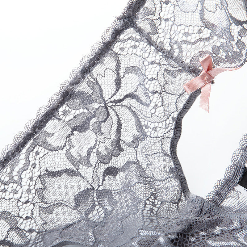 Whisper Lace – Sheer Low-Waisted Lace Briefs [NK9186]
