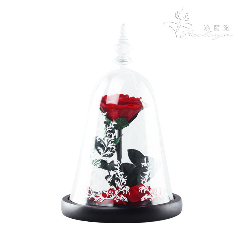 Rose Dome – Beauty & the Bloom
