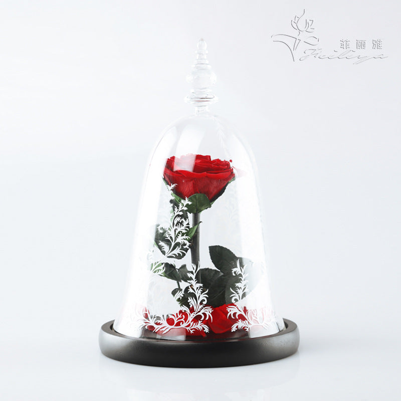 Rose Dome – Beauty & the Bloom