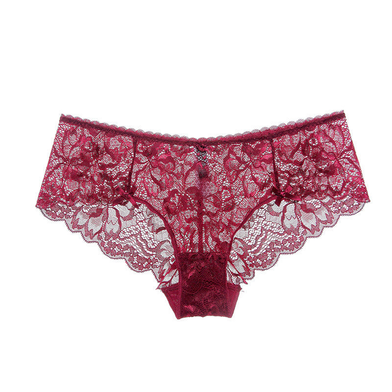 Whisper Lace – Sheer Low-Waisted Lace Briefs [NK9186]