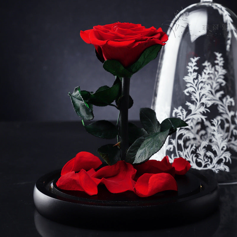 Rose Dome – Beauty & the Bloom