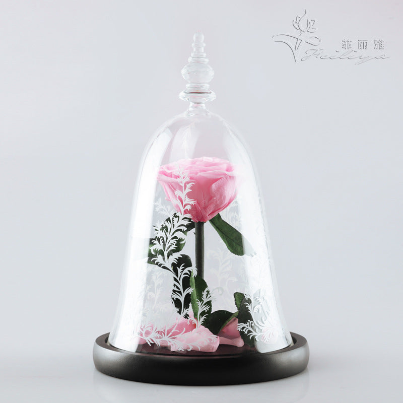 Rose Dome – Beauty & the Bloom
