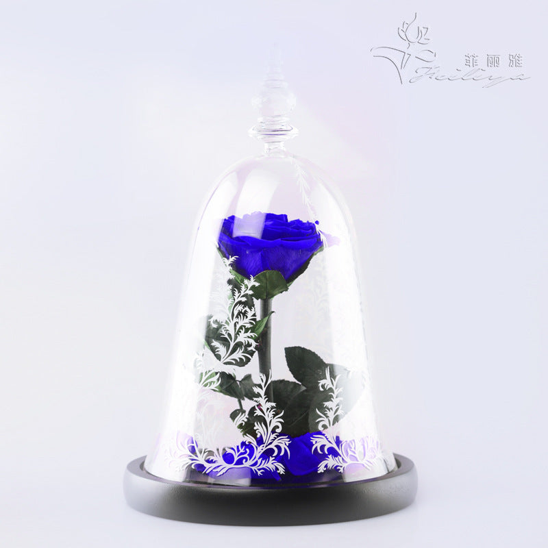 Rose Dome – Beauty & the Bloom