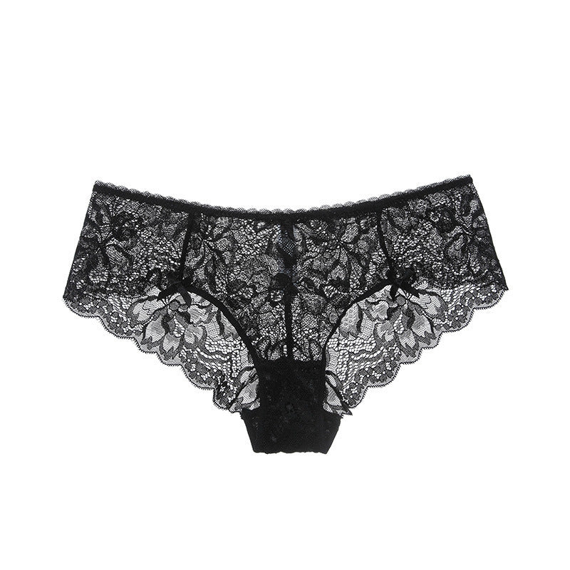 Whisper Lace – Sheer Low-Waisted Lace Briefs [NK9186]