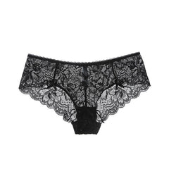 Whisper Lace – Sheer Low-Waisted Lace Briefs [NK9186]