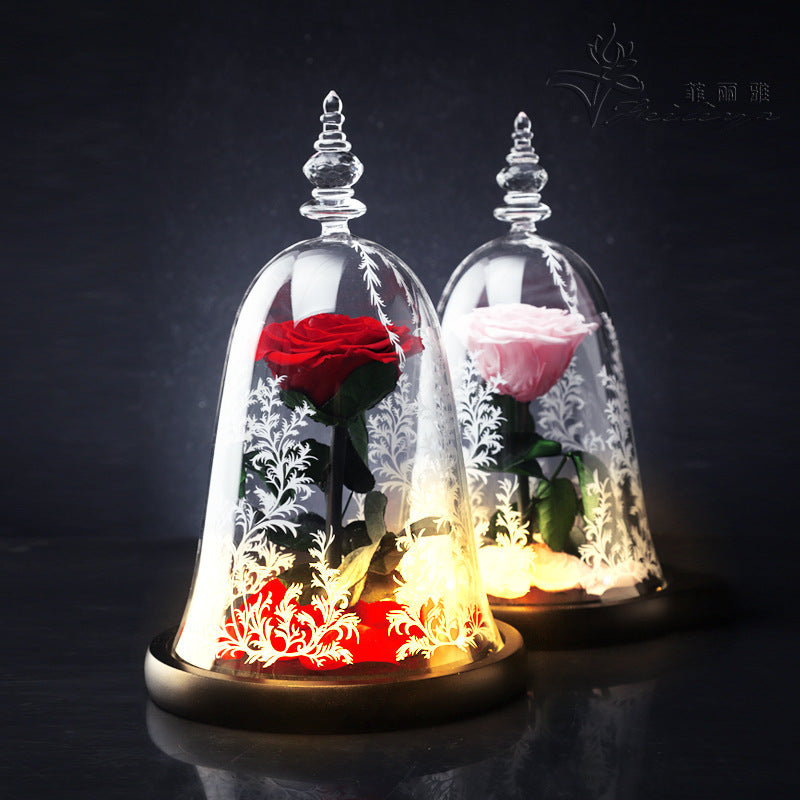 Rose Dome – Beauty & the Bloom