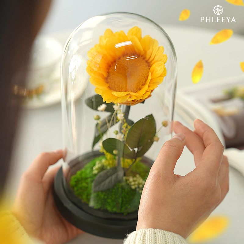 Sunlight in Bloom – Everlasting Flower Jar