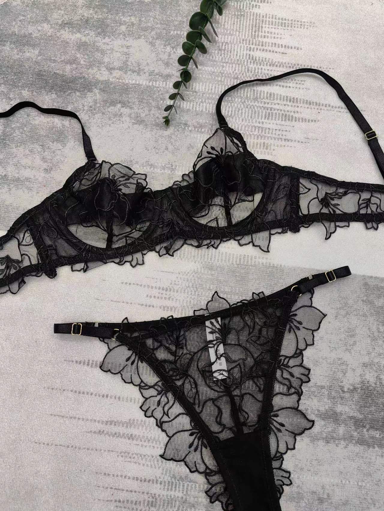 Scarlet Year – Embroidered Triangle Lace Bra Set [9604]