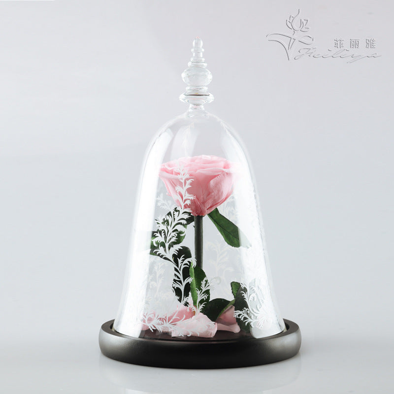 Rose Dome – Beauty & the Bloom